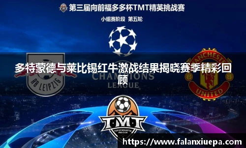 多特蒙德与莱比锡红牛激战结果揭晓赛季精彩回顾